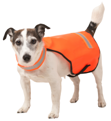 Hundeartikel