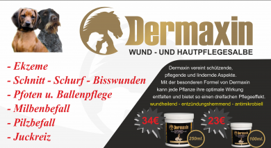 Dermaxin 100ml 