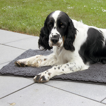 Waidwerk Hundematte 
