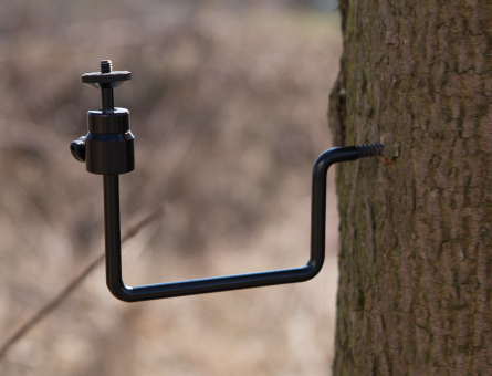 Dörr Baumschraube 1/4" camouflage