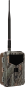 morepic-1